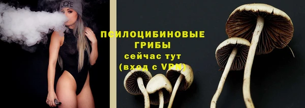 герыч Карпинск