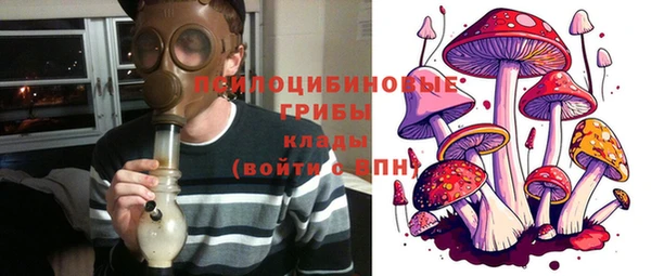 mdma Каменногорск