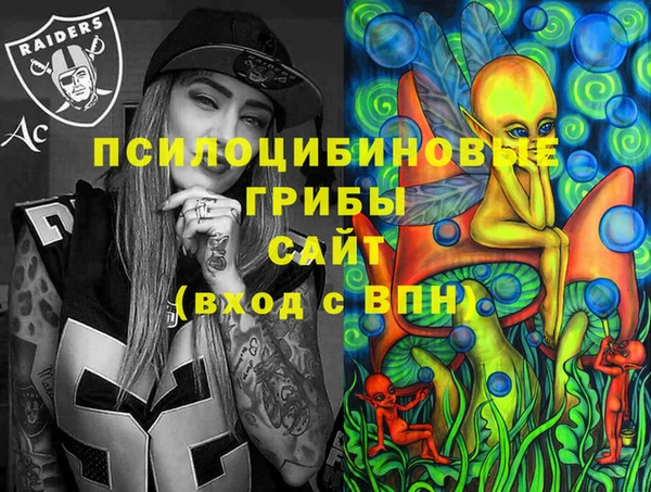 mdma Каменногорск