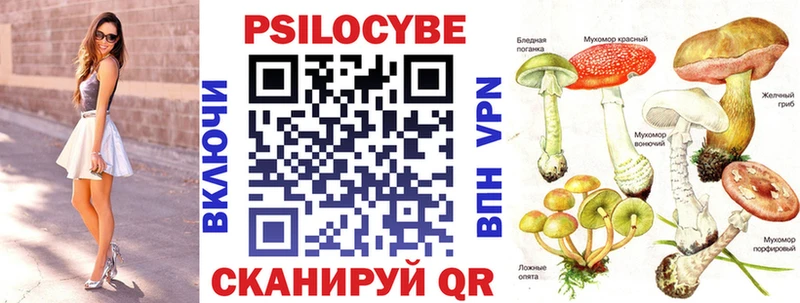 Галлюциногенные грибы прущие грибы  hydra ONION  Кедровый  где купить  